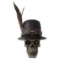 Steam punk stijl schedel met hoge hoed en veren