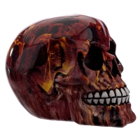 Marmer vlam-effect schedel