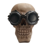 Steam punk schedel met bril