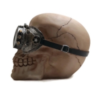 Steam punk schedel met bril